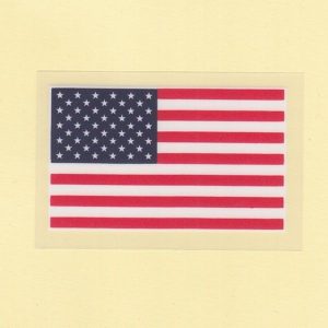 American National Flag Iron-on Plastic Heat Transfer Patch / Badges