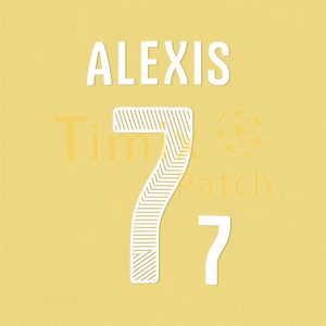 ALEXIS 7 CHILE 2014 World Cup Puma's Nameset Polyflex Printing