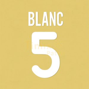 Inter Milan 2000-2002 Blanc #5 Homekit Name Number set Polyflex Printing