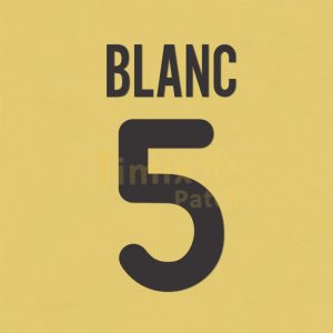 Inter Milan 2000-2002 Blanc #5 Awaykit Name Number set Polyflex Printing