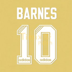 Liverpool 1995-1996 Barnes 10 Homekit Nameset PU Polyflex Printing Iron-On Sticker