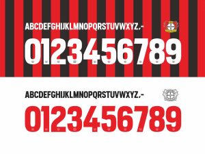 Bayer Leverkusen 2021-2022 kit Font & Vector